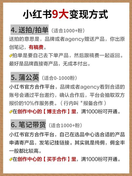 小红书涨粉可以赚钱吗_小红书新手运营攻略_小红书变现方法