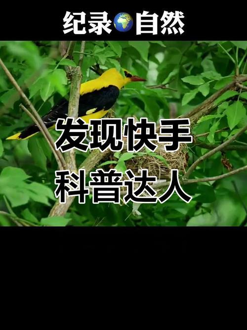 快手播放量网站_快手科普达人榜_科普短视频平台