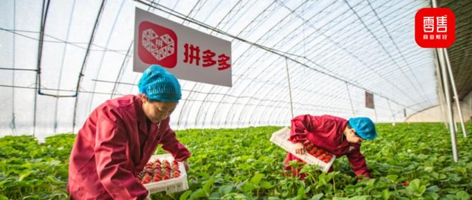 八角行为分析法在拼多多游戏中的应用_拼多多助力一元十刀网页_拼多多现金大转盘动机分析